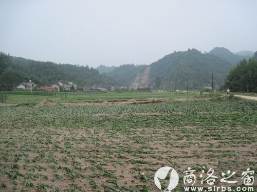 農作物受災920公頃，其中：絕收210公頃，水毀河堤72公里、耕地210公頃，灌渠24公里，自來水管線180公里。圖為趙