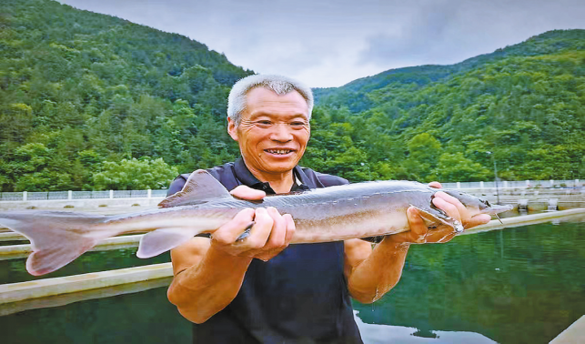 養(yǎng)殖冷水魚 帶動(dòng)“熱經(jīng)濟(jì)”