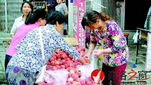 隨處流動(dòng)的小商販也不乏購買者。